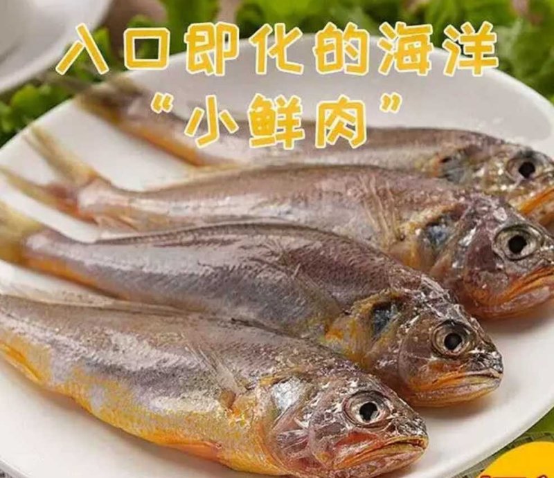 【聚便宜】包邮海捕黄花鱼小黄鱼特产鲜活