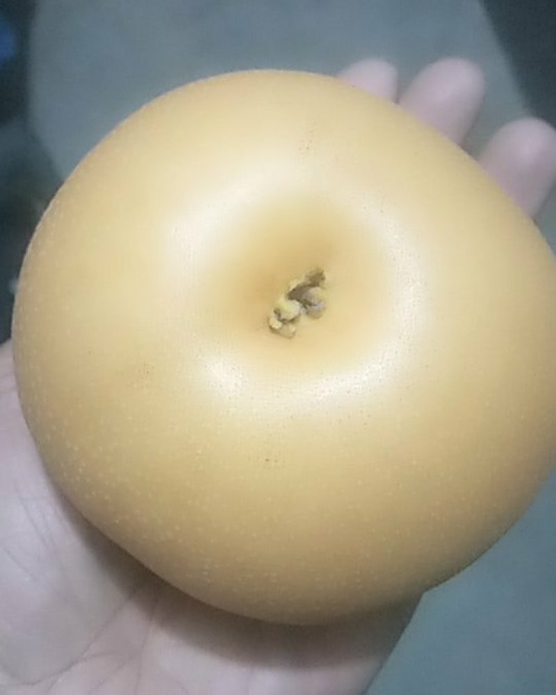 秋月梨
