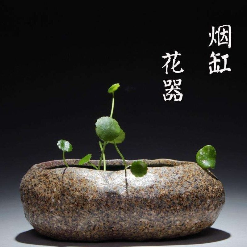 天然鹅卵石花盆多肉植物花盆水培石头鱼缸菖蒲铜钱草小盆景花