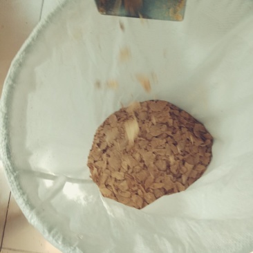 高品质花生麸没杂质新鲜