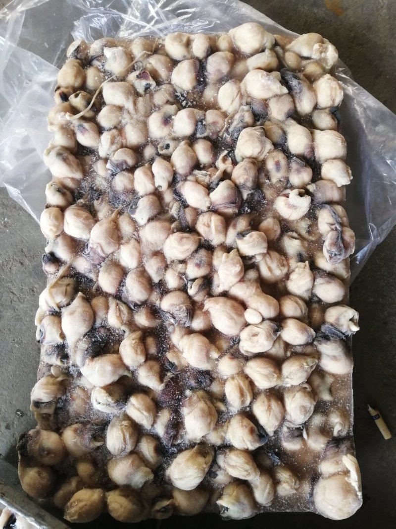 鱿鱼嘴鱿鱼口球大鱿鱼嘴小鱿鱼嘴口感超弹原汁原味