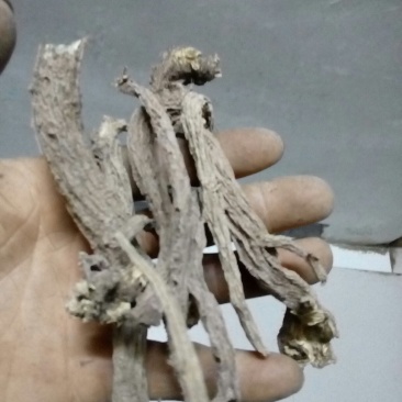 续断