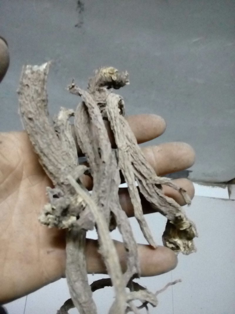 续断