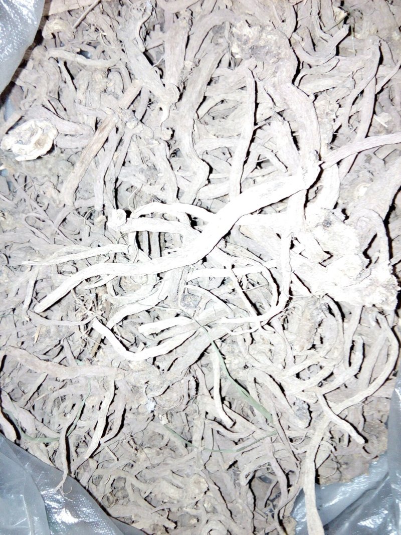 续断