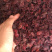 山萸肉山萸肉无籽无硫药枣山芋肉
