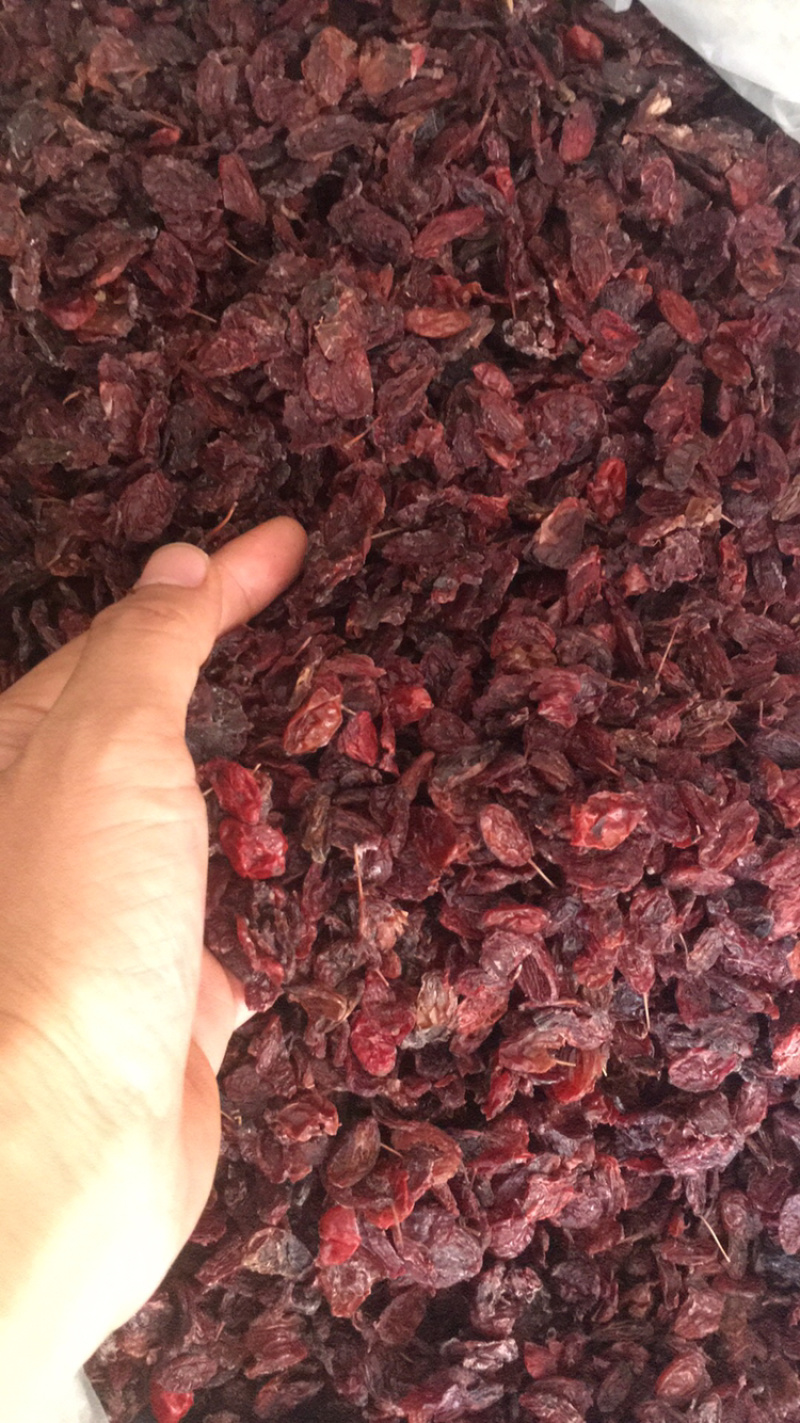 山萸肉山萸肉无籽无硫药枣山芋肉