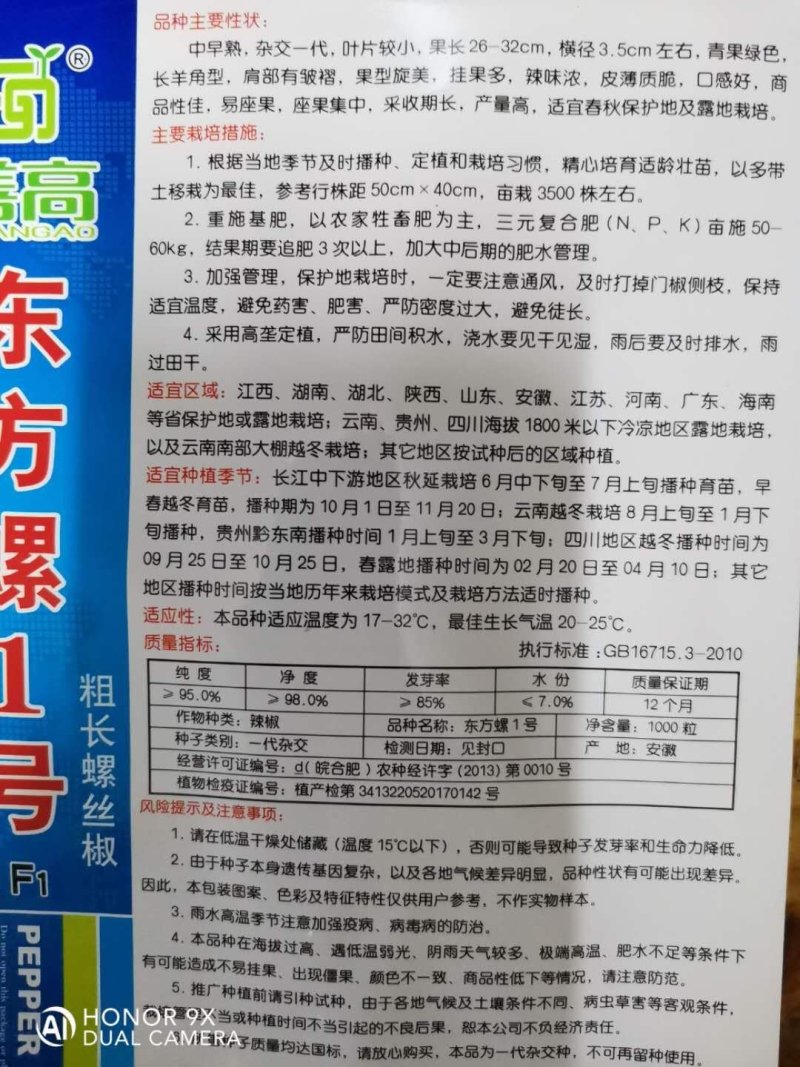 【东方螺1号】杂交螺丝椒种子特大粗长型辣椒种子基地用种