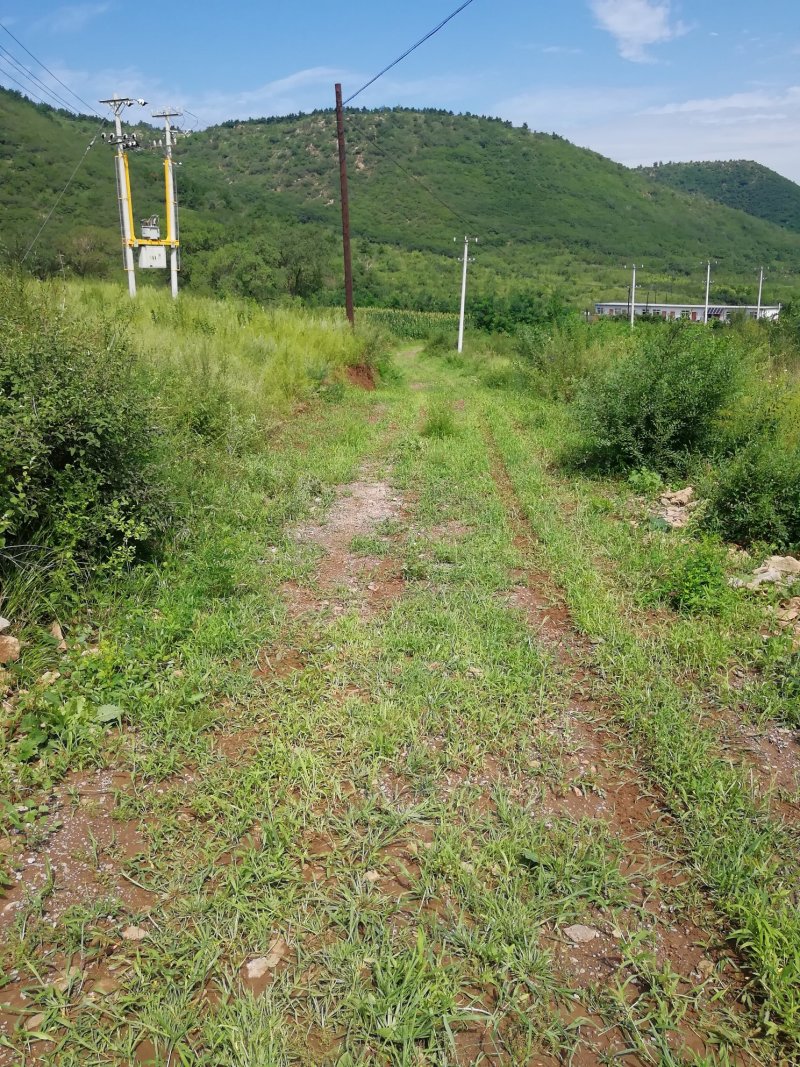 林地转让