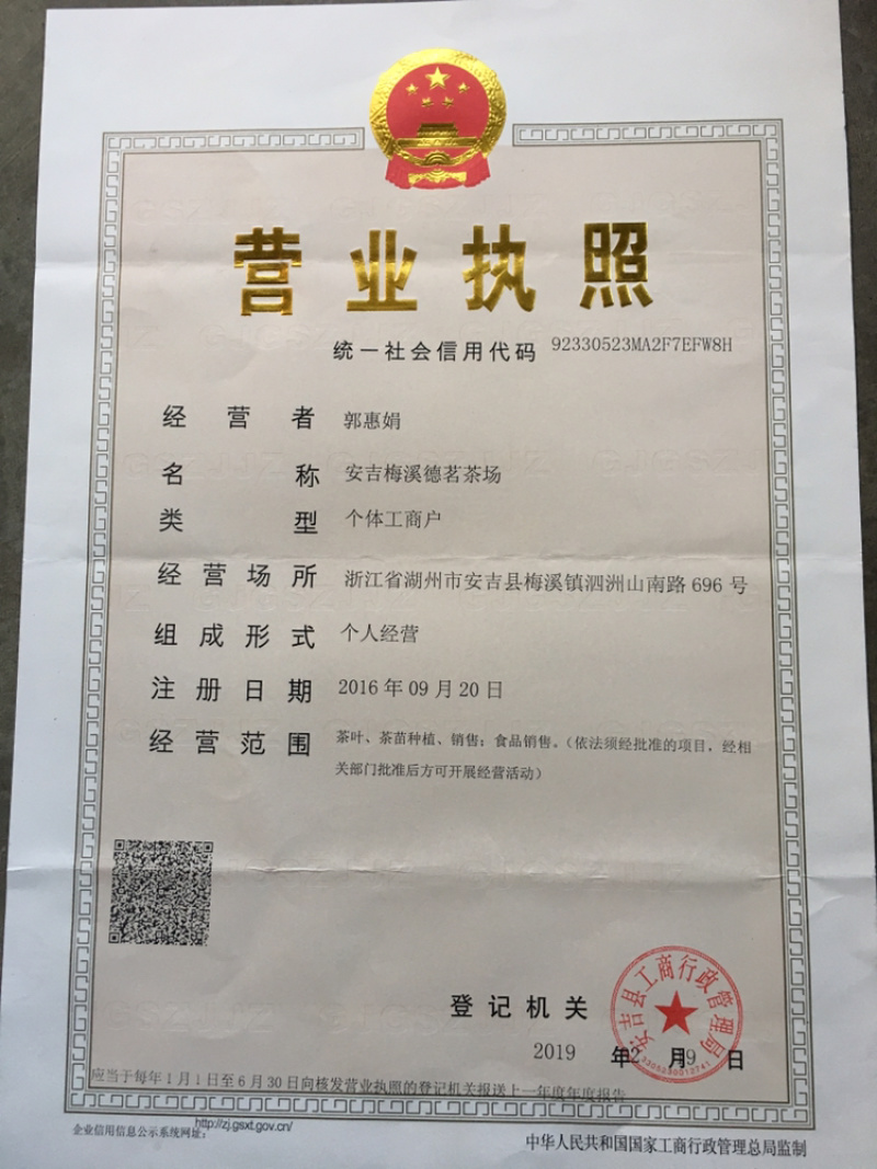 安吉白茶明前头采250克罐装原产地高山茶园直销