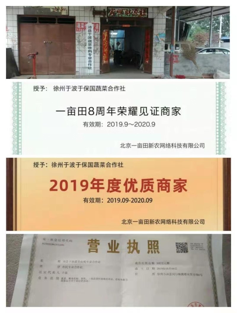 万亩红根蒜苗收货市场，水洗可供30吨，泥苗可供100吨