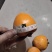 原产地大量销售涩柿子批发做柿饼柿子