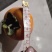 原产地大量销售涩柿子批发做柿饼柿子