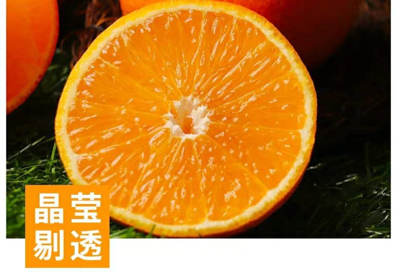 爱媛38果冻橙