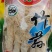 【贵州野生竹笙】野生竹荪，精选野生菌子云南竹荪