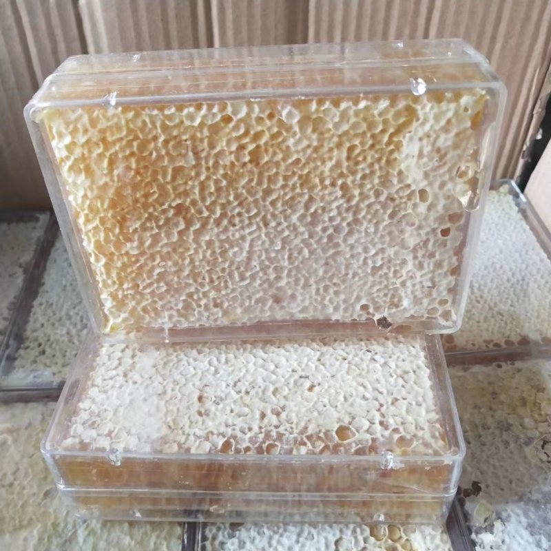 蜂巢蜜透明盒500克一盒蜂蜜荆条蜜批发