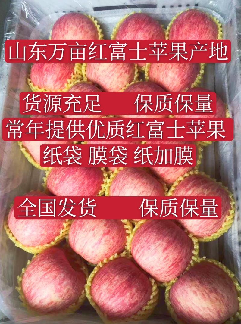 高原【红富士】苹果产地销售，质优价廉，保质保量全年供应