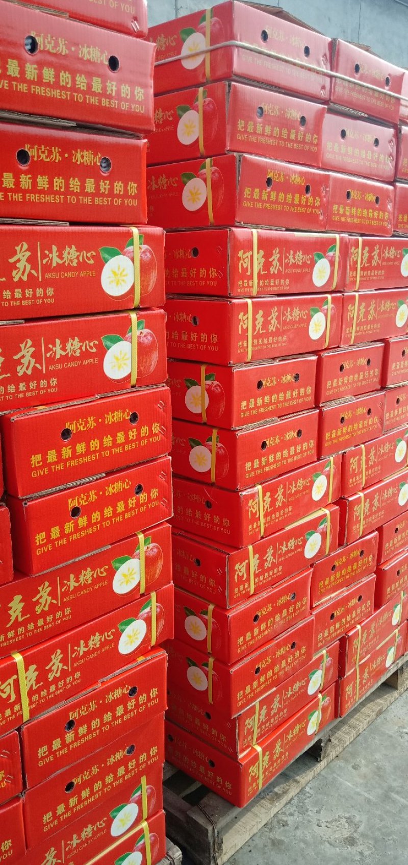 代办阿克苏冰糖心苹果高次诚信合作冷库一手货源20斤19