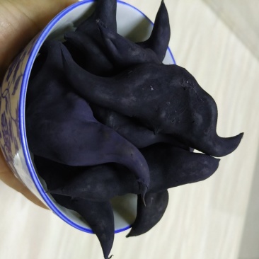 菱角家菱老菱角，又糯又甜，快来订购香糯甜