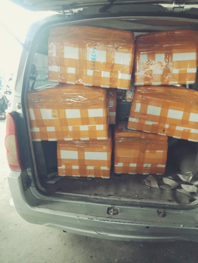 【紫苏叶】自有百亩基地，新鲜现割，品质保障全国可发～