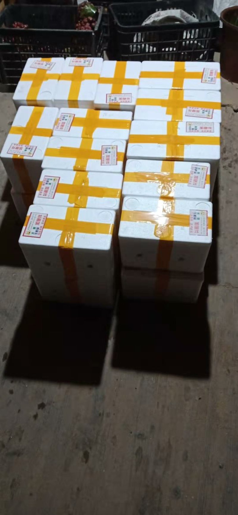 黑老虎