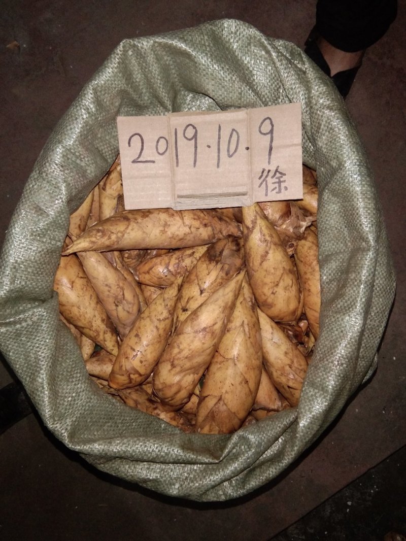笋批发
