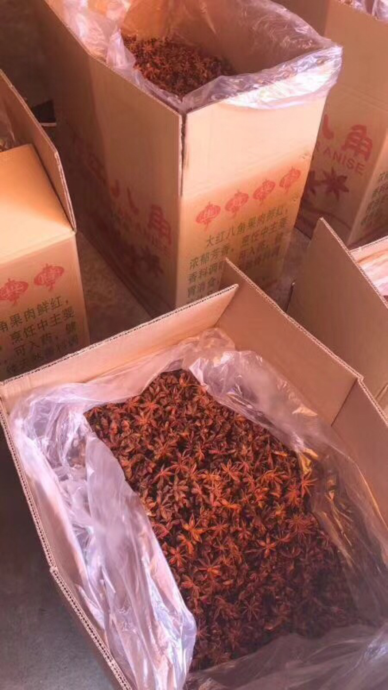 广西大红八角大料大茴香料卤料500克大粒果包邮