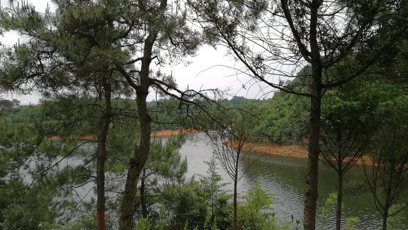 位于江西新余仙水湖风景区岛林合作