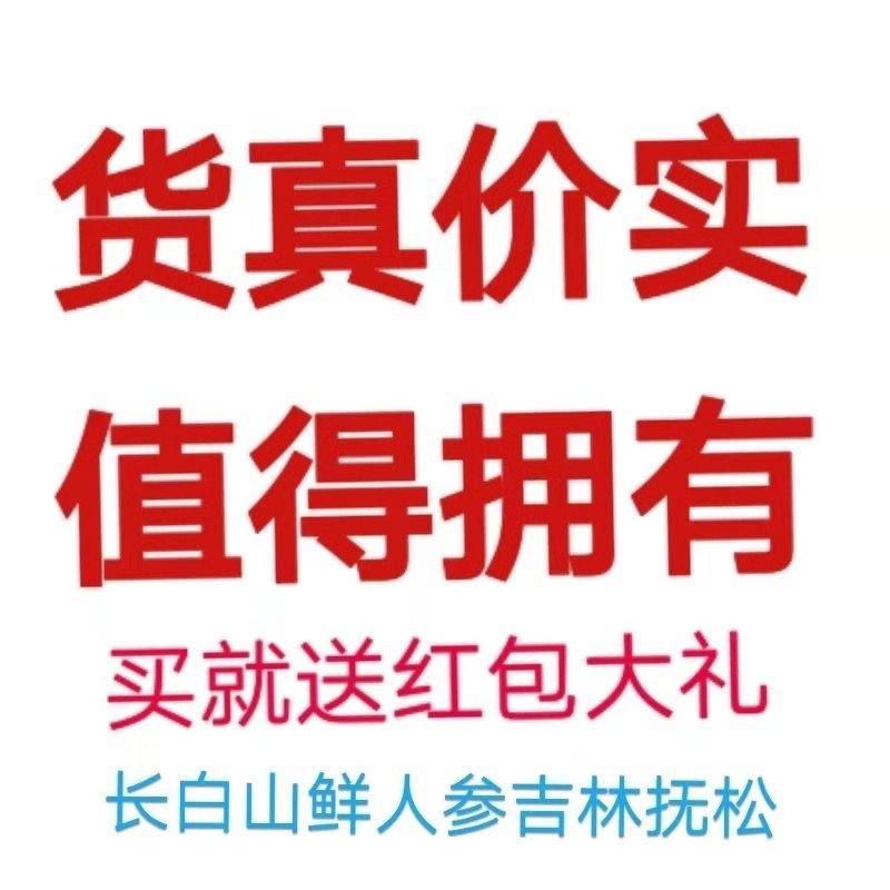 新鲜长白山人参苗人参种子室内室外盆栽盆景人参占地栽征地人