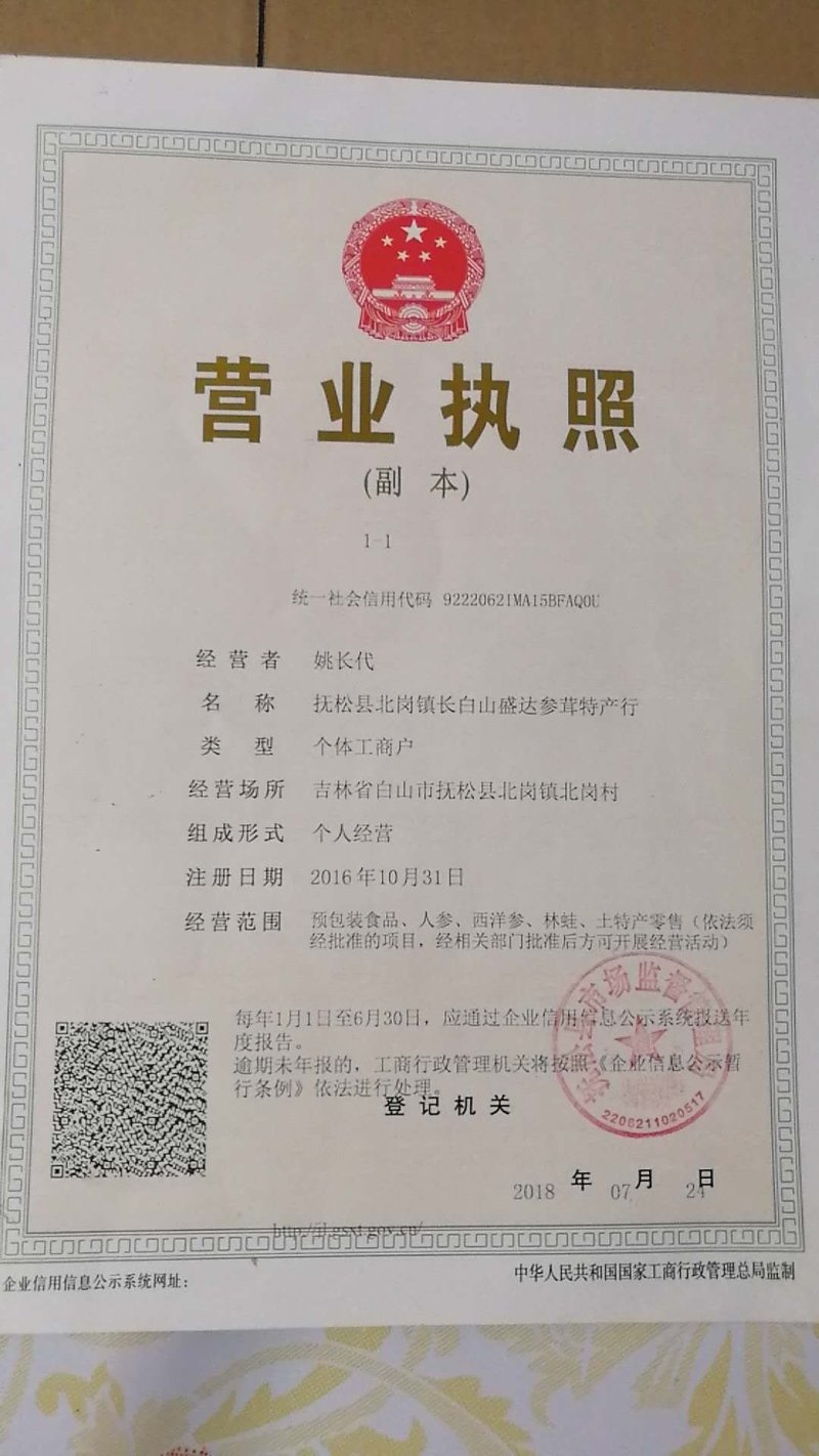 新鲜长白山人参苗人参种子室内室外盆栽盆景人参占地栽征地人