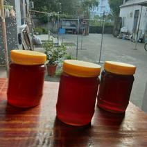 中华土蜂蜜纯正的蜂蜜