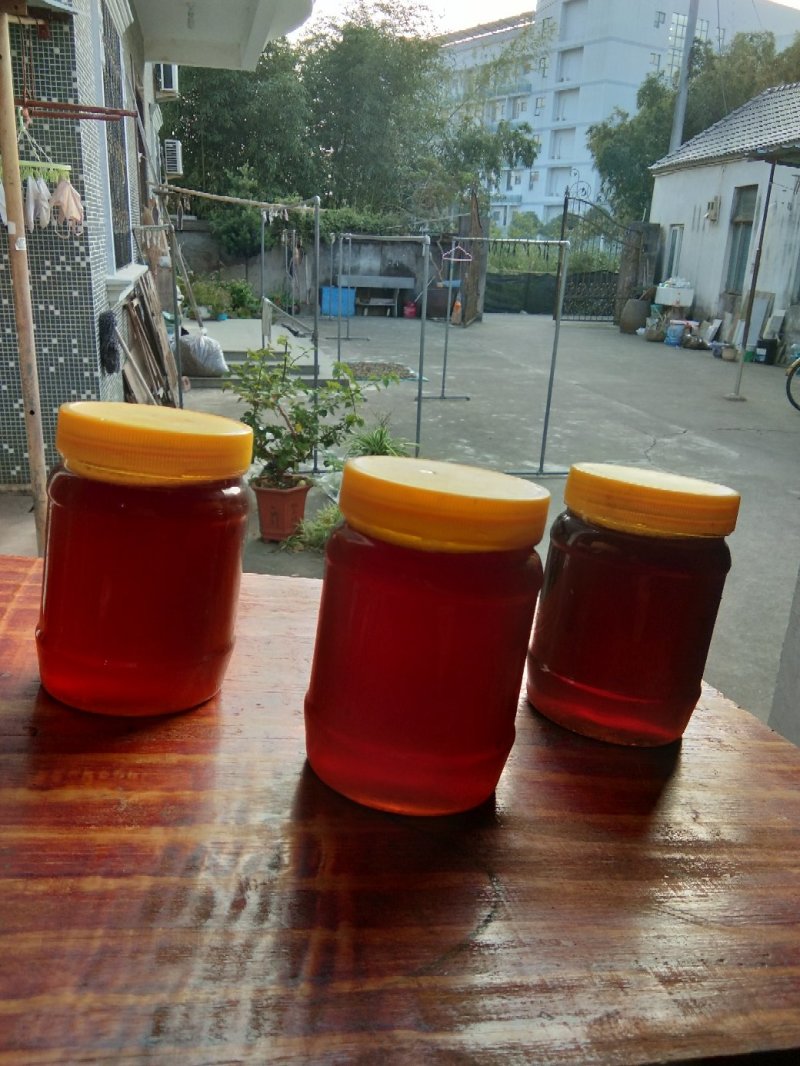 中华土蜂蜜纯正的蜂蜜