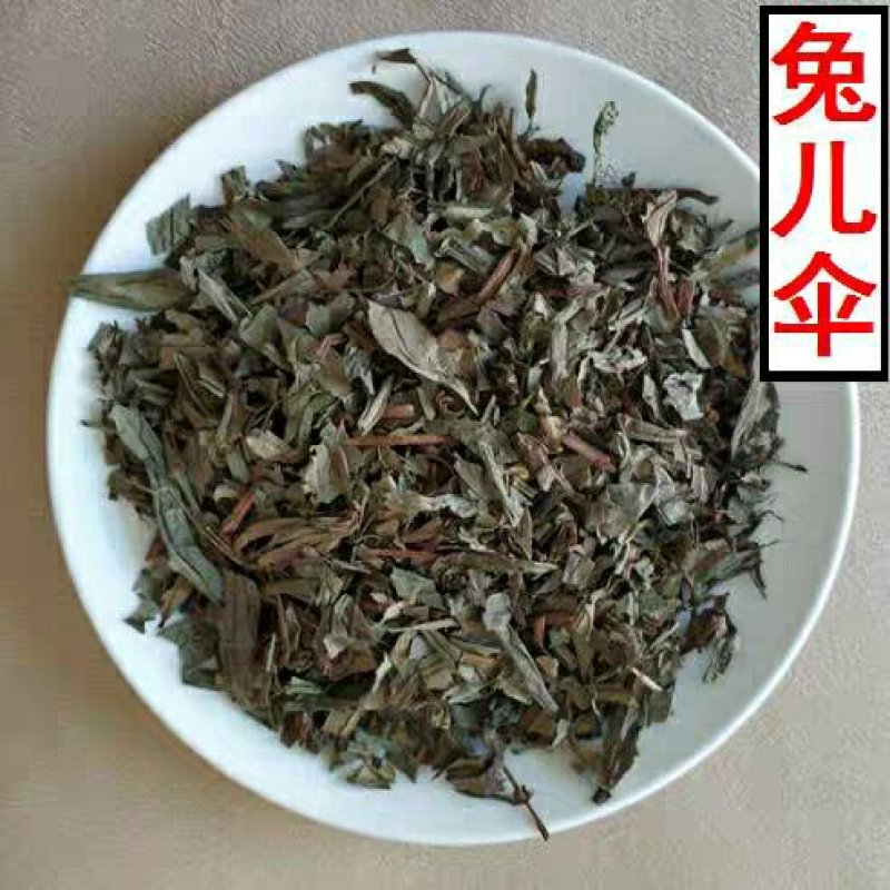 兔儿伞产地直供支持线上交易可搭配多品种采购大货联系