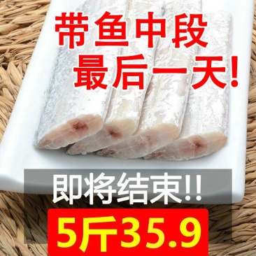 新货带鱼带鱼段新鲜5斤包邮批发零售包邮