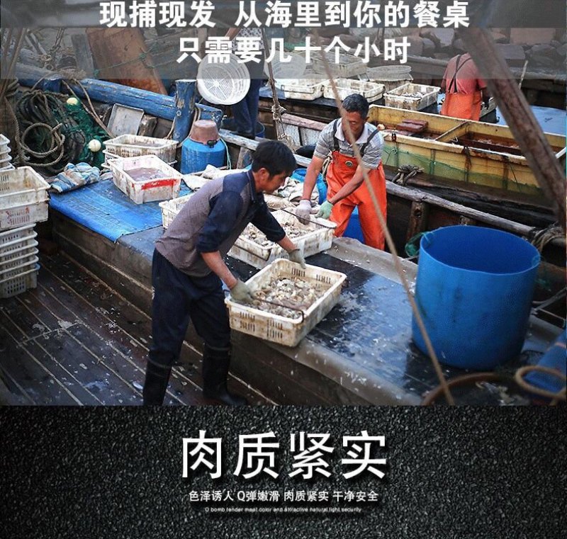 新货带鱼带鱼段新鲜5斤包邮批发零售包邮