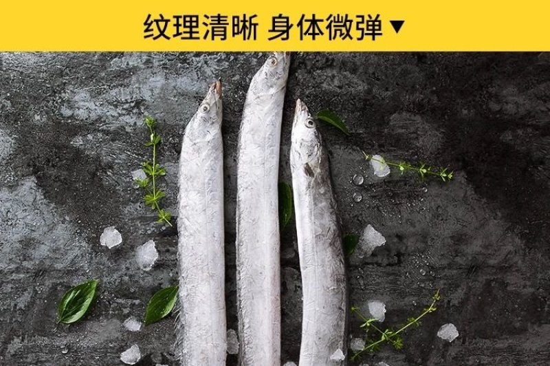 新货带鱼带鱼段新鲜5斤包邮批发零售包邮
