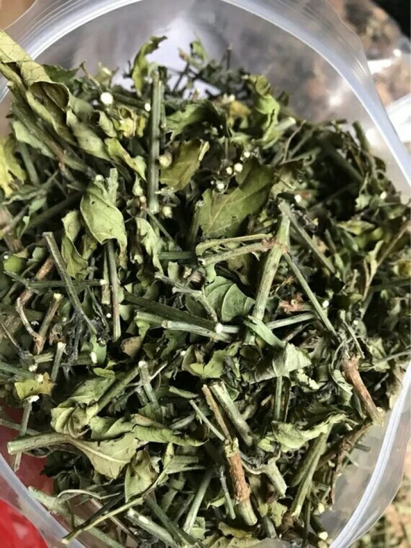 白鹤灵芝草产地直供支持线上交易各种规格承接订单