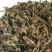 回回蒜产地直供支持线上交易各种规格承接订单