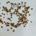 茴茴蒜回回蒜产地直供支持线上交易可搭配多品种采购