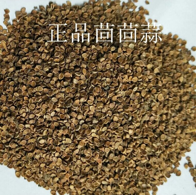 茴茴蒜回回蒜产地直供支持线上交易可搭配多品种采购