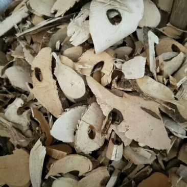 东风橘产地直供支持线上交易各种规格承接订单