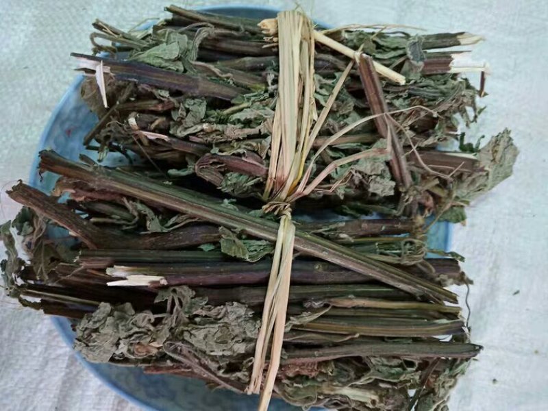 防风草产地直供支持线上交易承接订单承接订单