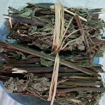 防风草产地直供支持线上交易承接订单承接订单
