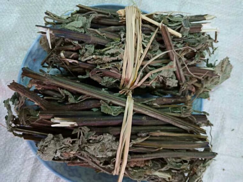 防风草产地直供支持线上交易承接订单承接订单