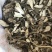 地桃花产地直供支持线上交易各种规格承接订单