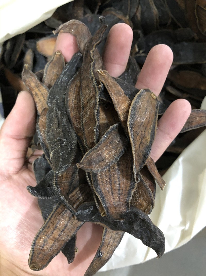 【水蛭】水蛭物美价廉量大从优产地直供