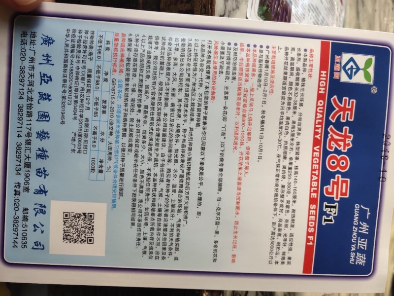 天龙8号，长茄，中早熟，中熟品种，结果多，不易褪色