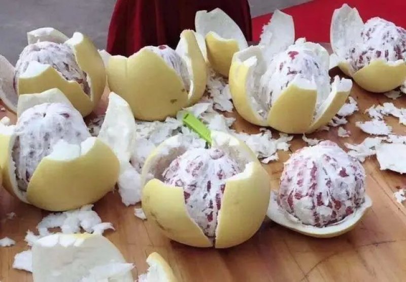 红肉马家柚苗，甜味红肉柚苗，自己果园育苗放心引种现挖保湿