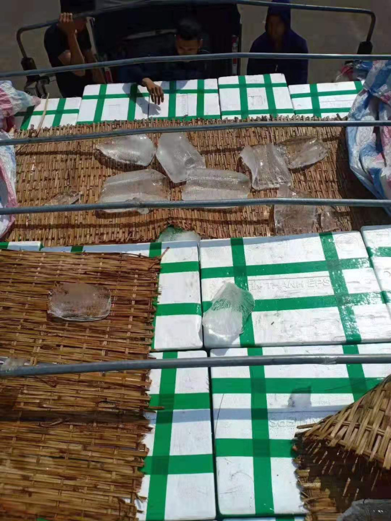 越南红毛丹进口红毛丹每天大量到货下单请先咨询一下