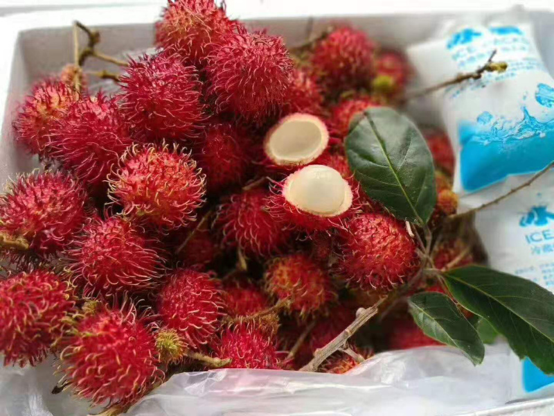 越南红毛丹进口红毛丹每天大量到货下单请先咨询一下