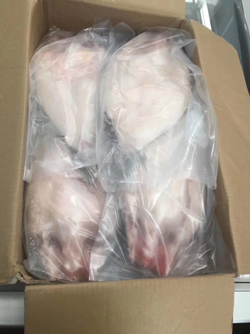 开背巴沙鱼（各规格有货